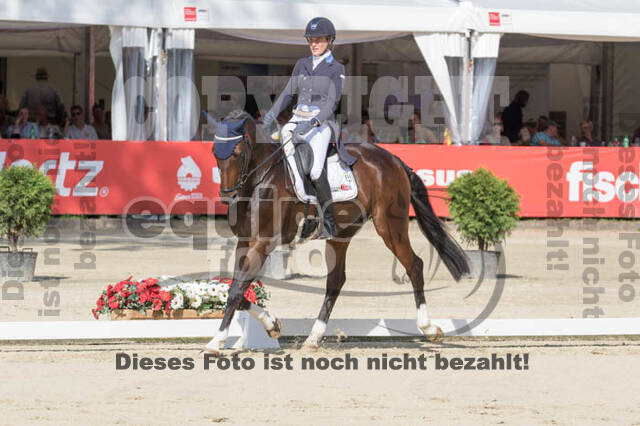 FEI European Championship Eventing 2017