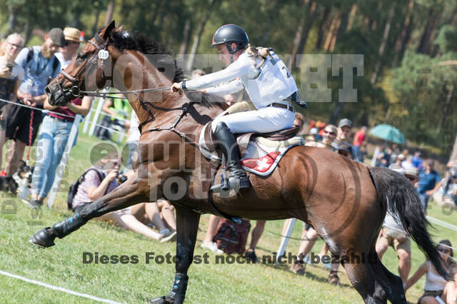FEI European Championship Eventing 2019