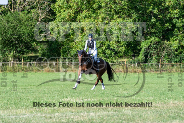 Bonn-Rodderberg Late-Entry-Vielseitigkeit (30.06.2020)