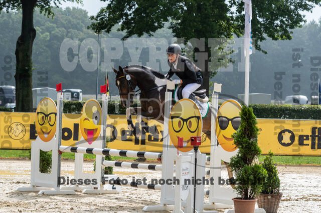 Goldene Schärpe 2021 - Ponys