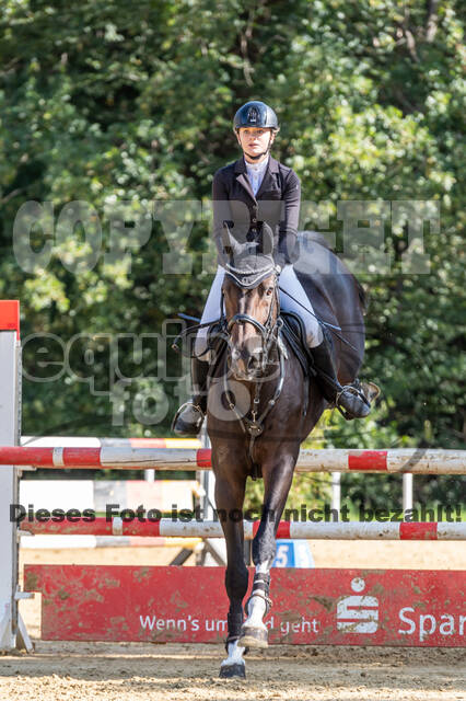 RFV Dinslaken-Hiesfeld (Herbstturnier)