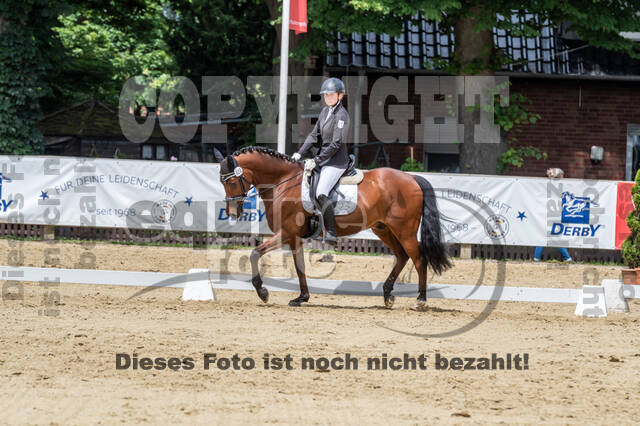 Goldene Schärpe 2021 - Ponys