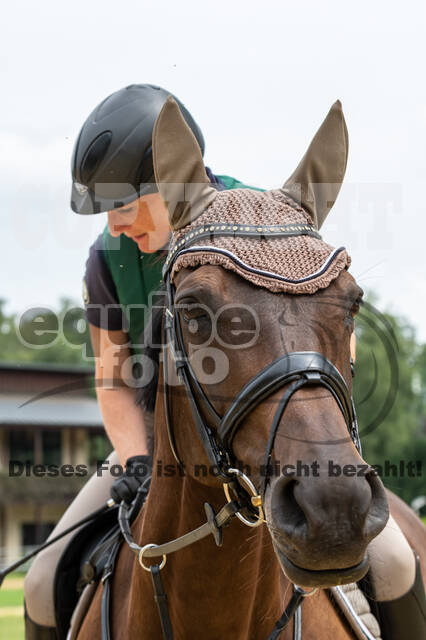 Hunter Geländetraining 10.07.2021 (Sonsbeck)
