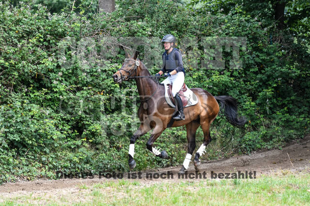 Late-Entry-Vielseitigkeit Langenfeld (11.+13./14.06.2020)