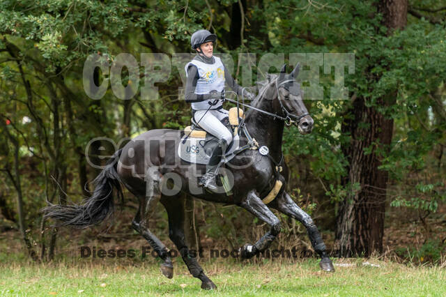 Vielseitigkeit RSV Wesel Obrighoven (26.+27.09.2020)