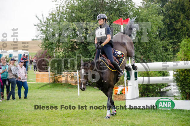 FEI European Championship