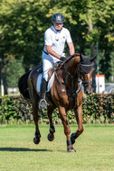 Kronenberg - De Peelbergen (August 2020)