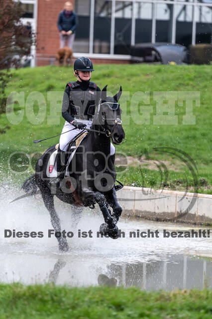 Goldene Schärpe 2020 - Pferde