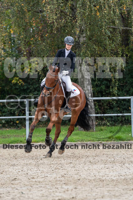 Reiter Schleswig-Holstein