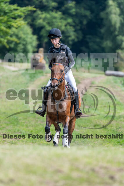 Goldene Schärpe 2021 - Ponys