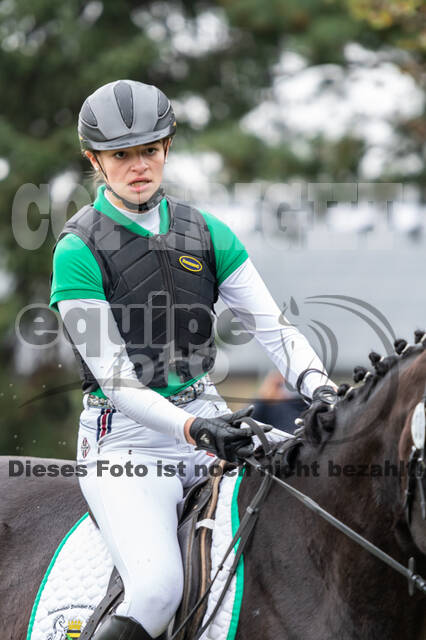 Goldene Schärpe 2020 - Pferde