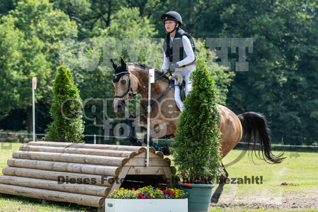 Goldene Schärpe 2021 - Ponys