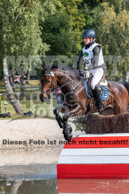Deutsche Meisterschaft Vielseitigkeit (Luhmühlen)