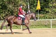 RFV Dinslaken-Hiesfeld (Herbstturnier)