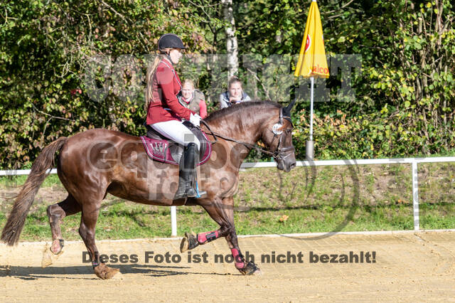 RFV Dinslaken-Hiesfeld (Herbstturnier)