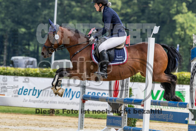Goldene Schärpe 2021 - Ponys