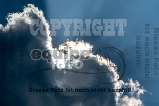 Goldene Schärpe 2021 - Ponys