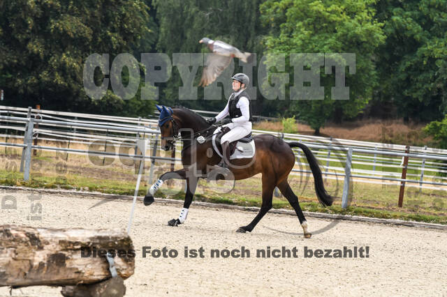 Late-Entry-Vielseitigkeit Langenfeld (11.+13./14.06.2020)