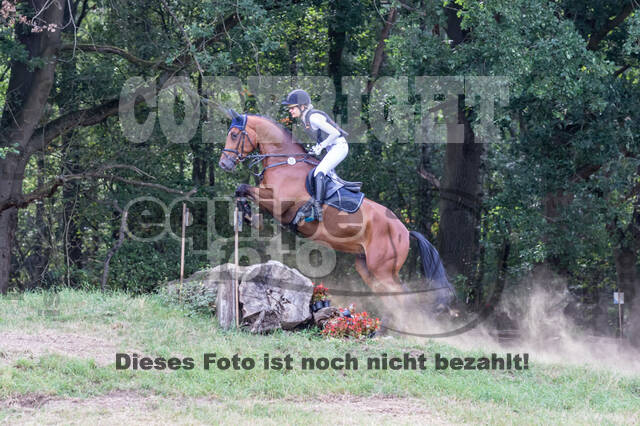 Late-Entry Vielseitigkeit Hamminkeln/Wesel (01.+02.08.2020)