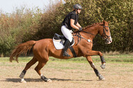 IGV Kleve