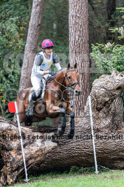 Vielseitigkeit RSV Wesel Obrighoven (26.+27.09.2020)