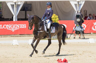 FEI European Championship