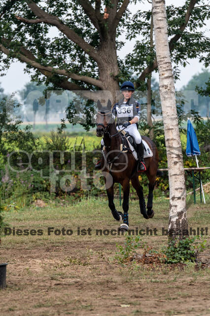 De Peelbergen (August 2020)
