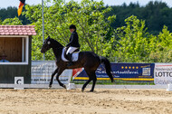 Westerstede Horse Trials 2021
