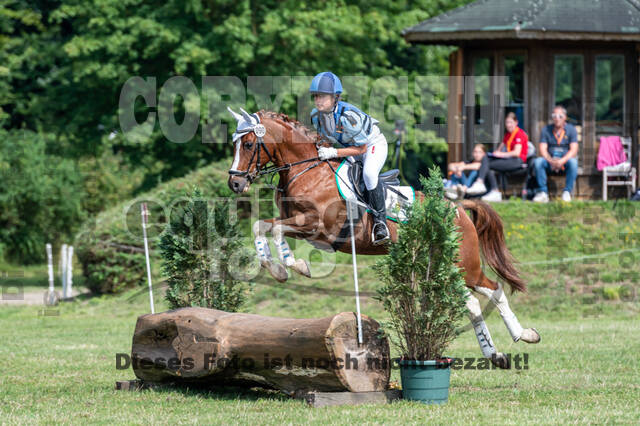 Goldene Schärpe 2021 - Ponys