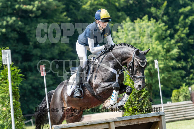 Goldene Schärpe 2021 - Ponys