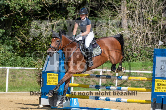 RFV Dinslaken-Hiesfeld (Herbstturnier)