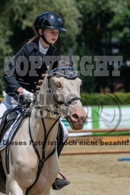 Goldene Schärpe 2021 - Ponys
