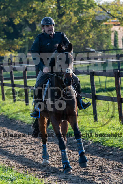 Vielseitigkeitslehrgang mit Jürg Kurbel (9.+10.11.2019)