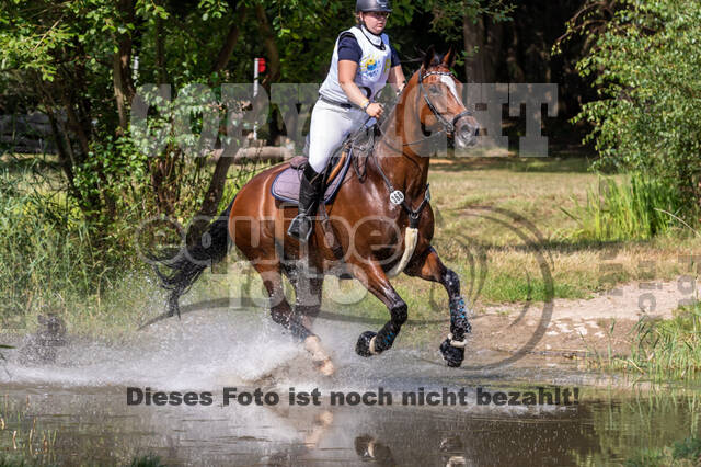 Late-Entry Vielseitigkeit Hamminkeln/Wesel (01.+02.08.2020)