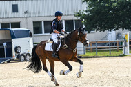 Late-Entry-Vielseitigkeit Langenfeld (11.+13./14.06.2020)