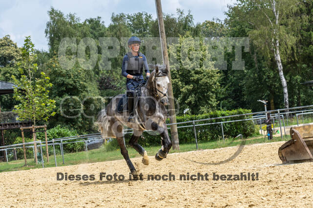 Hunter Geländetraining 10.07.2021 (Sonsbeck)