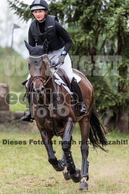 Late-Entry-Vielseitigkeit Langenfeld (11.+13./14.06.2020)