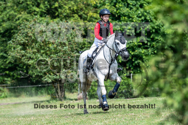 Goldene Schärpe 2021 - Ponys