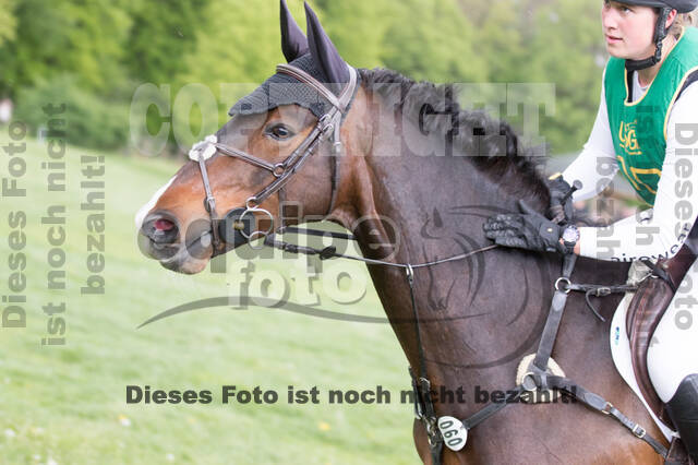 Sterne über Münster 2019 - CCI***S