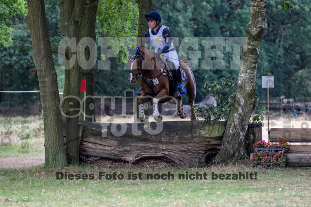 Late-Entry Vielseitigkeit Hamminkeln/Wesel (01.+02.08.2020)