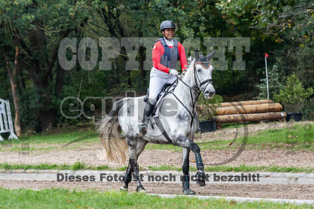 Goldene Schärpe 2020 - Pferde