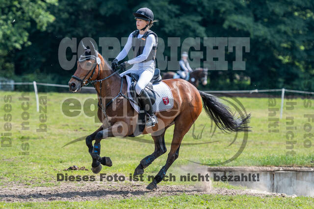 Goldene Schärpe 2021 - Ponys