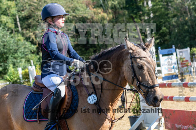 RFV Dinslaken-Hiesfeld (Herbstturnier)