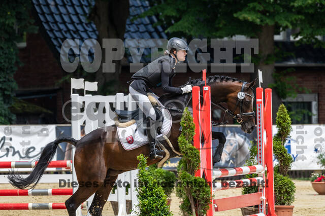 Goldene Schärpe 2021 - Ponys