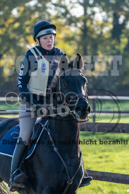 Vielseitigkeitslehrgang mit Jürg Kurbel (9.+10.11.2019)