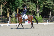 Kronenberg - De Peelbergen (August 2020)