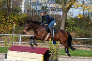 IGV Lehrgang der Sieger der Cups mit Frank Ostholt