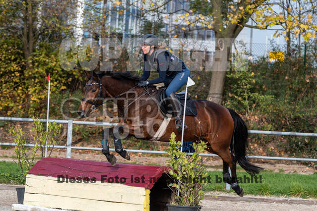 IGV Lehrgang der Sieger der Cups mit Frank Ostholt