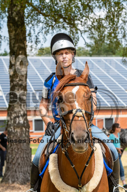 Hunter Geländetraining 10.07.2021 (Sonsbeck)