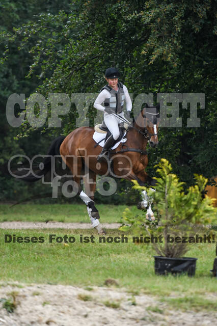 Late-Entry-Vielseitigkeit Langenfeld (11.+13./14.06.2020)